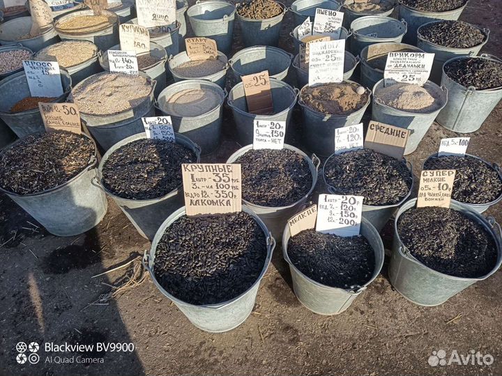 Зерно.Корма, семечки,просо,Purina