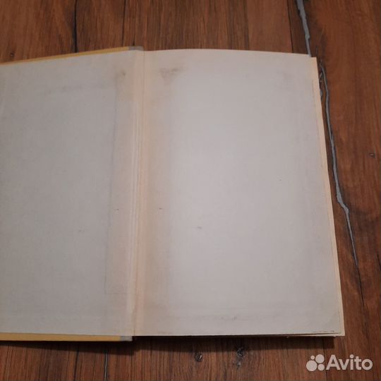 Два брата. Волков. 1981 г