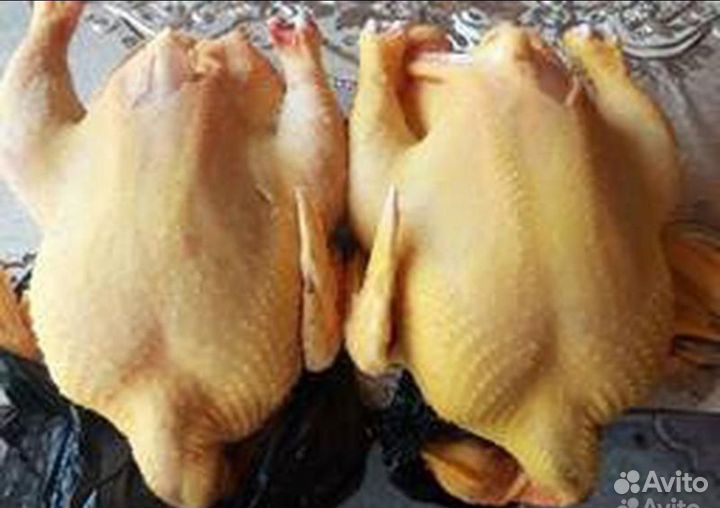 Мясо индюшки