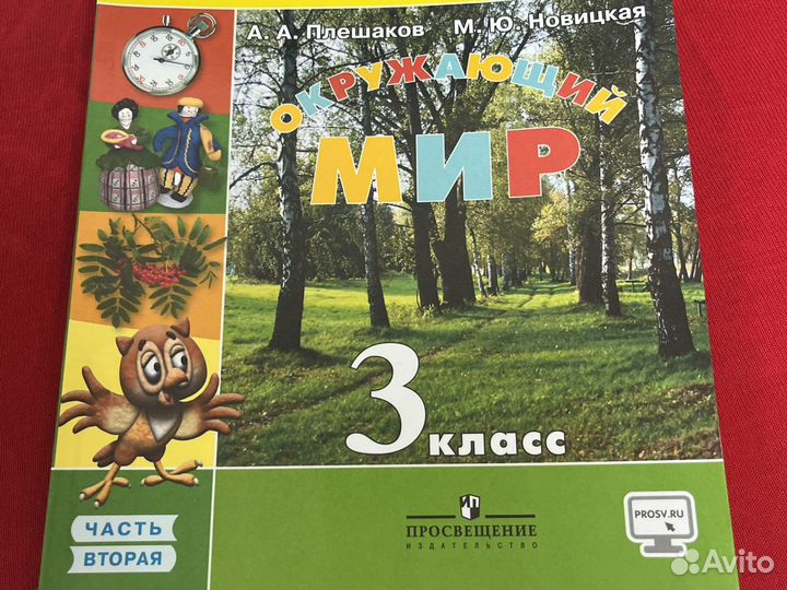Окружающий мир 3 класс плешаков новицкая часть 2