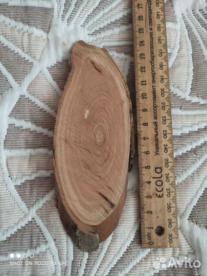 Заготовки для творчества деревянные. Спил дерева