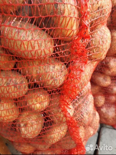 Продам картофель