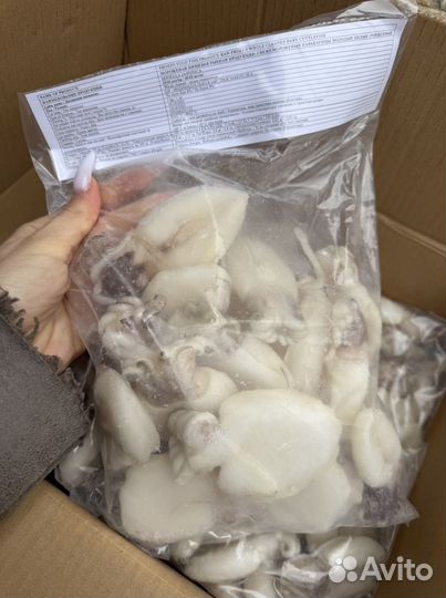 Каракатица морепродукты