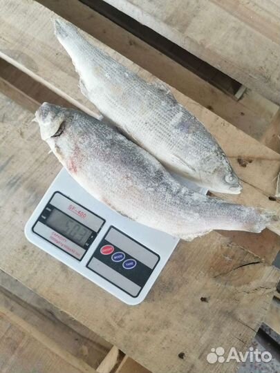 Сырок (пелядь) мороженый