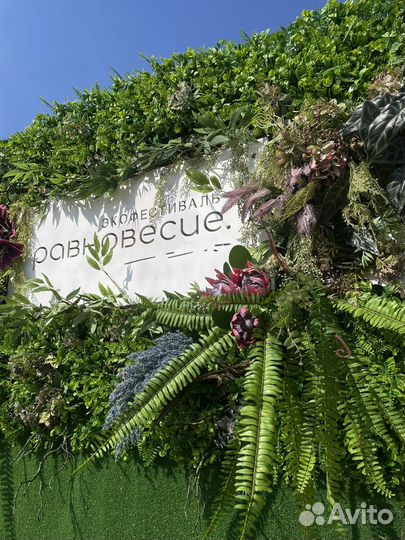 Создание фотозоны, организация фотосессий