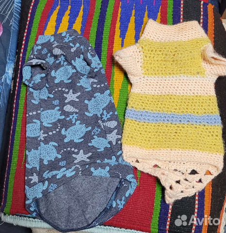 Одежда для кошек