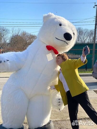 Поздравление Панда/ Чебурашка/ Белый Медведь