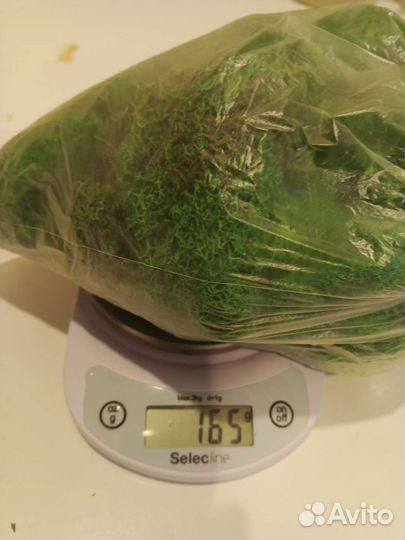 Стабилизированный мох