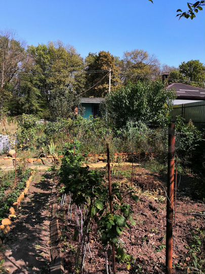 Участок 5 сот. (СНТ, ДНП)