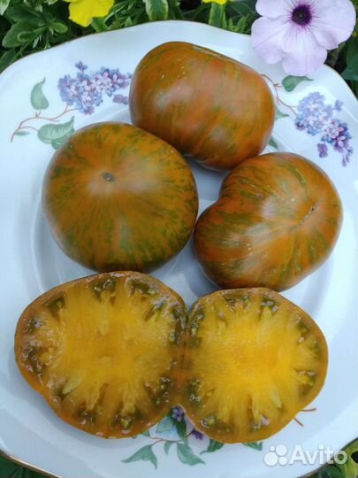 Сердце Линея,Мутная Мамба и другие