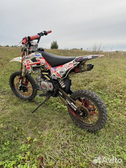 Kayo basic YX140 KRZ 2019