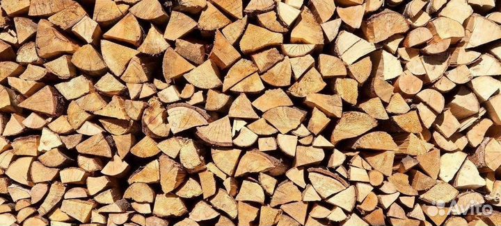 Купить дрова в день звонка