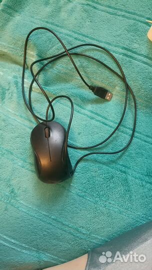 Компьютерная мышь