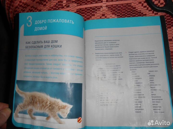 Purina Pro Plan Руководство По уходу за Котёнком