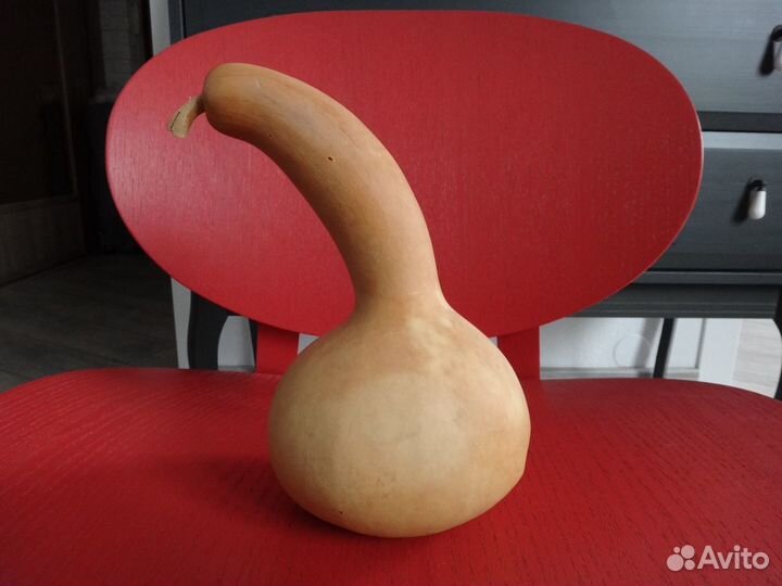 Тыква декоративная, сухая-сувенир