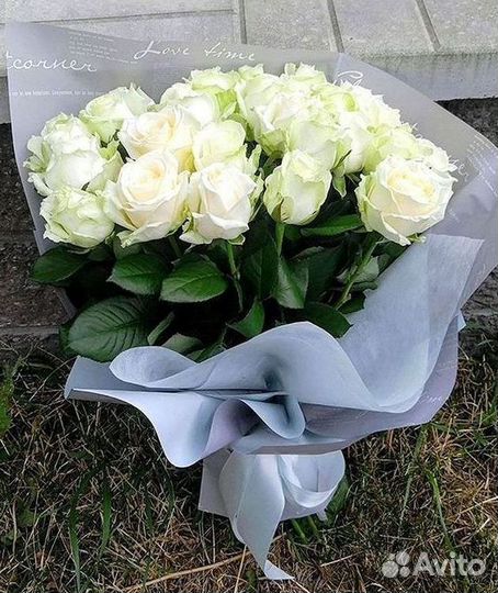 Высокие розы Гигантские Розы 150 160 170 180 190см