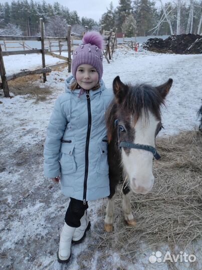 Прогулки на лошадях