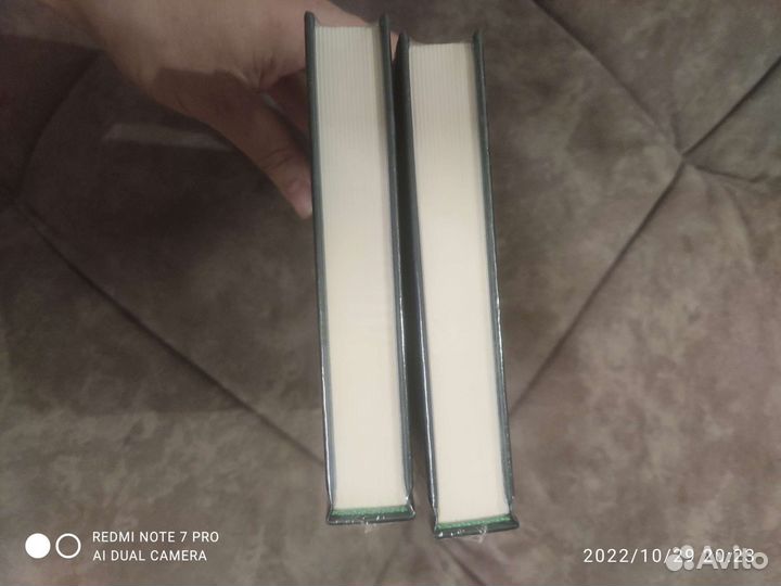 Неприрученная книга Хуан Вильоро (фентези)