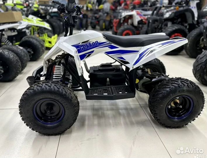 Детский квадроцикл Motax Gekkon 1300W