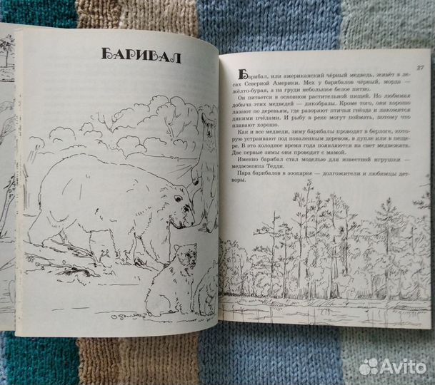 Книга-раскраска Калининградский зоопарк