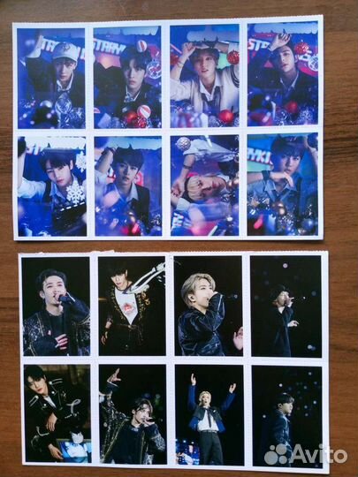 Stray kids