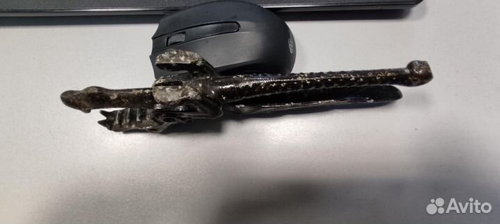 Орехоколка, Дракон из СССР