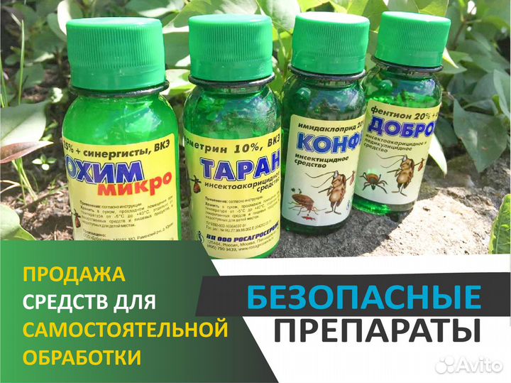 Дезинфекция
