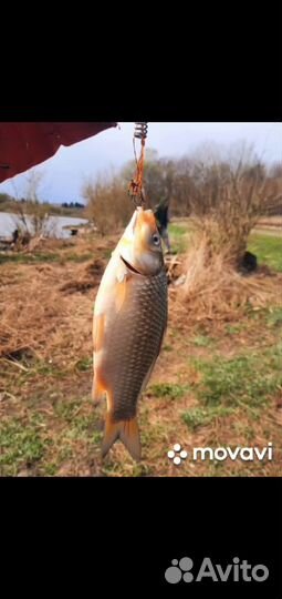 Снасть рыболовная 