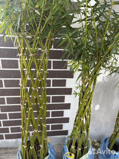 Плетеная Ива Декоративные украшения из ивы