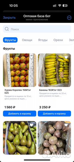 Хурма королек