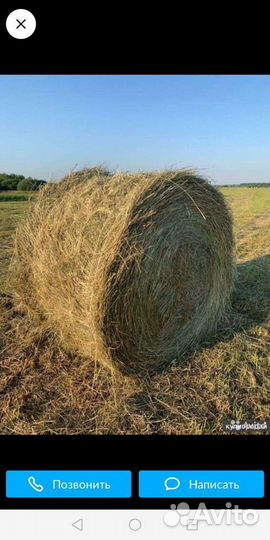Продам сено в рулонах 450кг