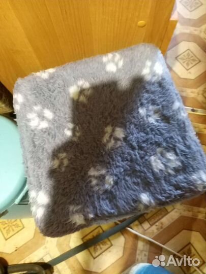 Когтеточка для кошек