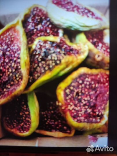 Инжир плоды, саженцы