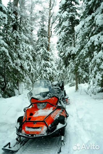 Зимняя сказка по территории Кроноцкого заповедника