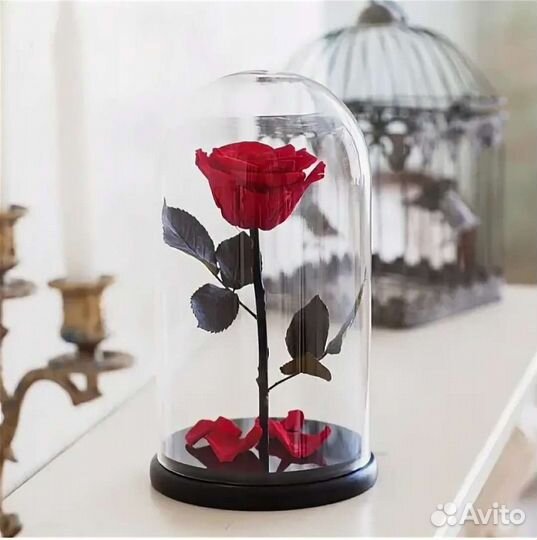 Роза в колбе Ульяновск