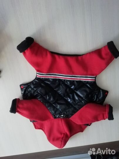 Зимний комбинезон, шапочка, ботинчки, шлейка