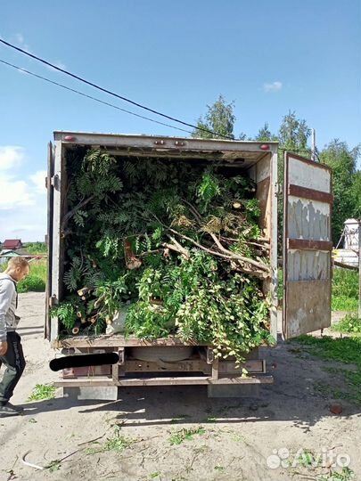 Вывоз Мусора