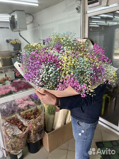 Гипсофила радужная Букет