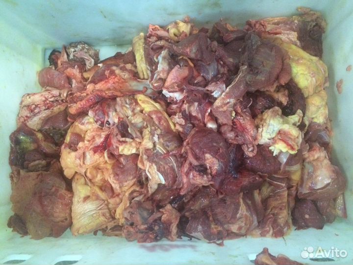 Собачья радось (обрезь говяжья)