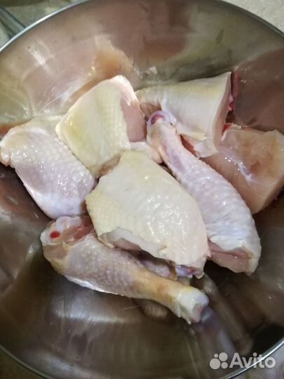Мясо птицы. Бройлер, перепел