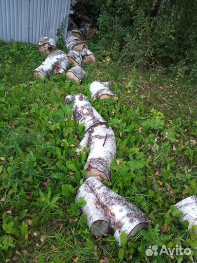 Дрова березовые не колотые