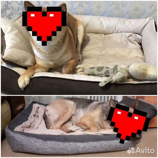 Большие Лежанки новые для собак