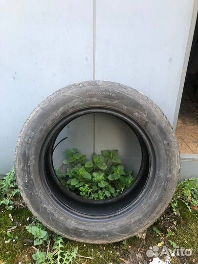 Nexen N'Fera SU4 185/65 R15