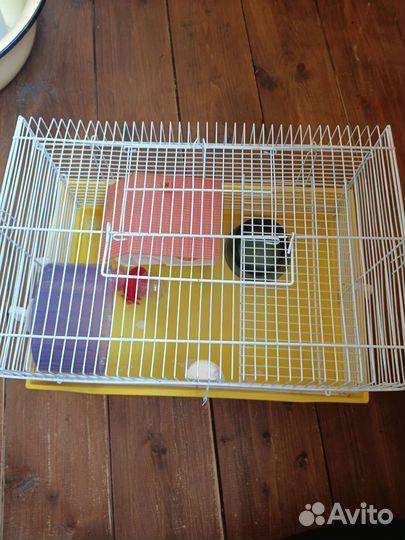 Клетка для хомяка и переноска в подарок