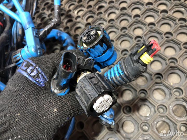 Проводка шасси Daf XF105