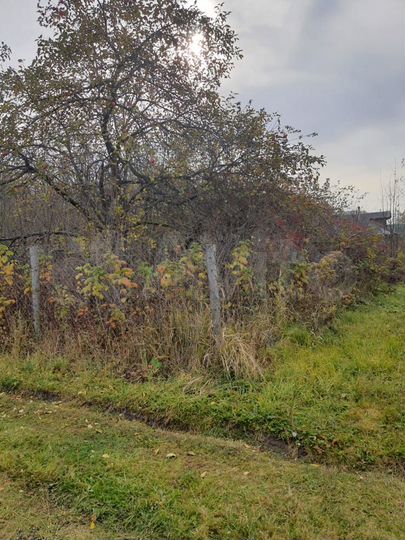 Участок 16,6 сот. (ИЖС)