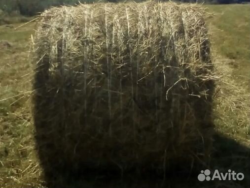 Сено в рулонах