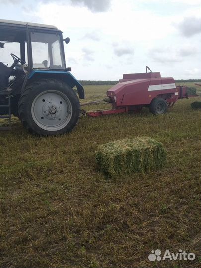 Люцерна в тюках