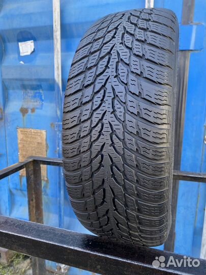 Nokian Tyres WR Snowproof 175/65 R14