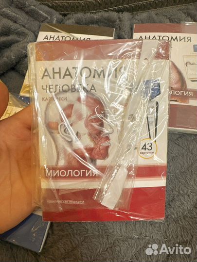 Карточки по анатомии